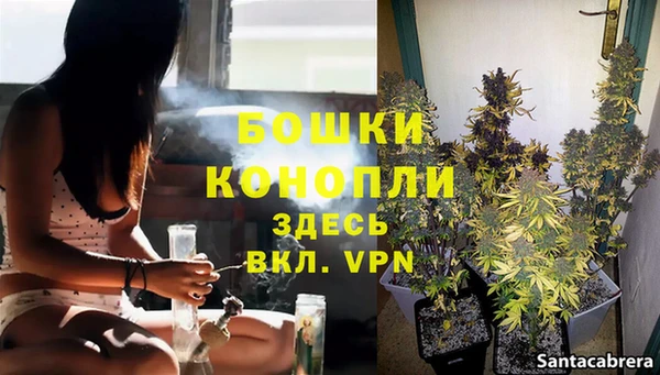 прущие крисы Бикин