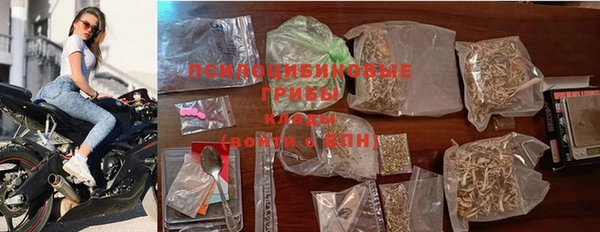 прущие крисы Бикин