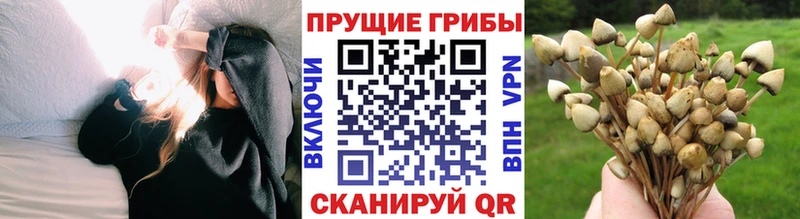 Галлюциногенные грибы мицелий Зеленоградск