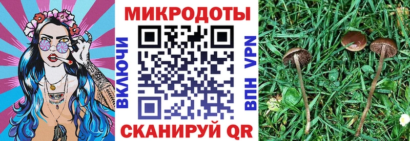 Галлюциногенные грибы ЛСД  наркота  Зеленоградск 